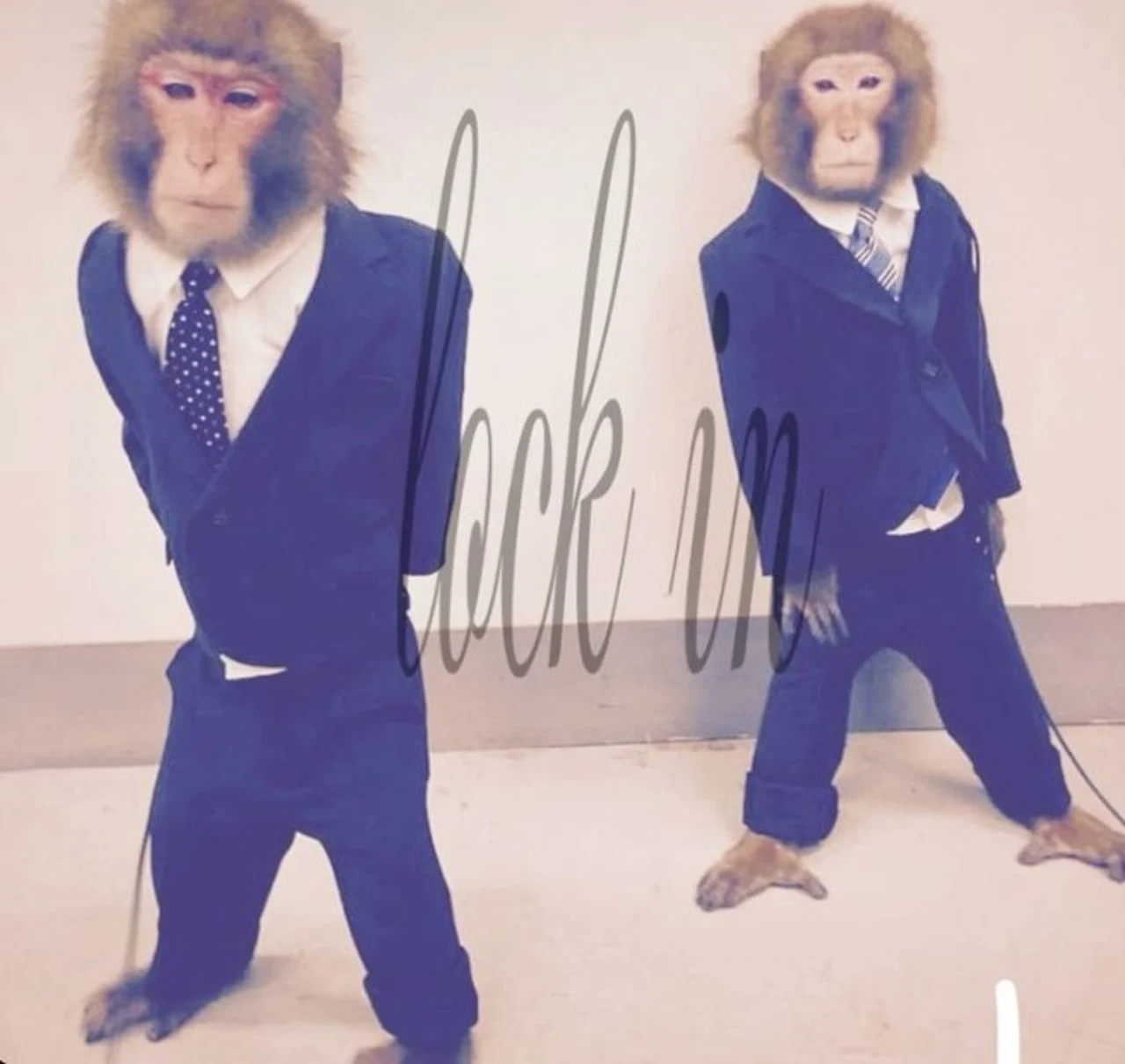 Two monkeys standing upright in blue suits and ties with cursive "lock in" text overlaid