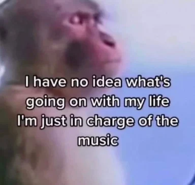 Blurry close-up photo of a monkey with caption "I have no idea what's going on with my life I'm just in charge of the music"