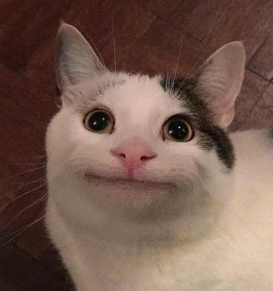 Close-up photo of a white and black cat with wide eyes and a tight-lipped awkward smile