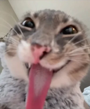 Blurry close-up of a tabby cat sticking out an extremely long pink tongue toward the camera