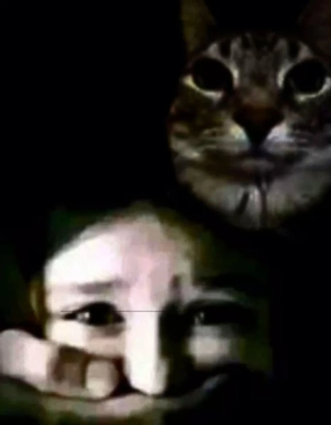 Grainy dark photo of a tabby cat with huge dilated pupils behind a person's face peeking over a hand